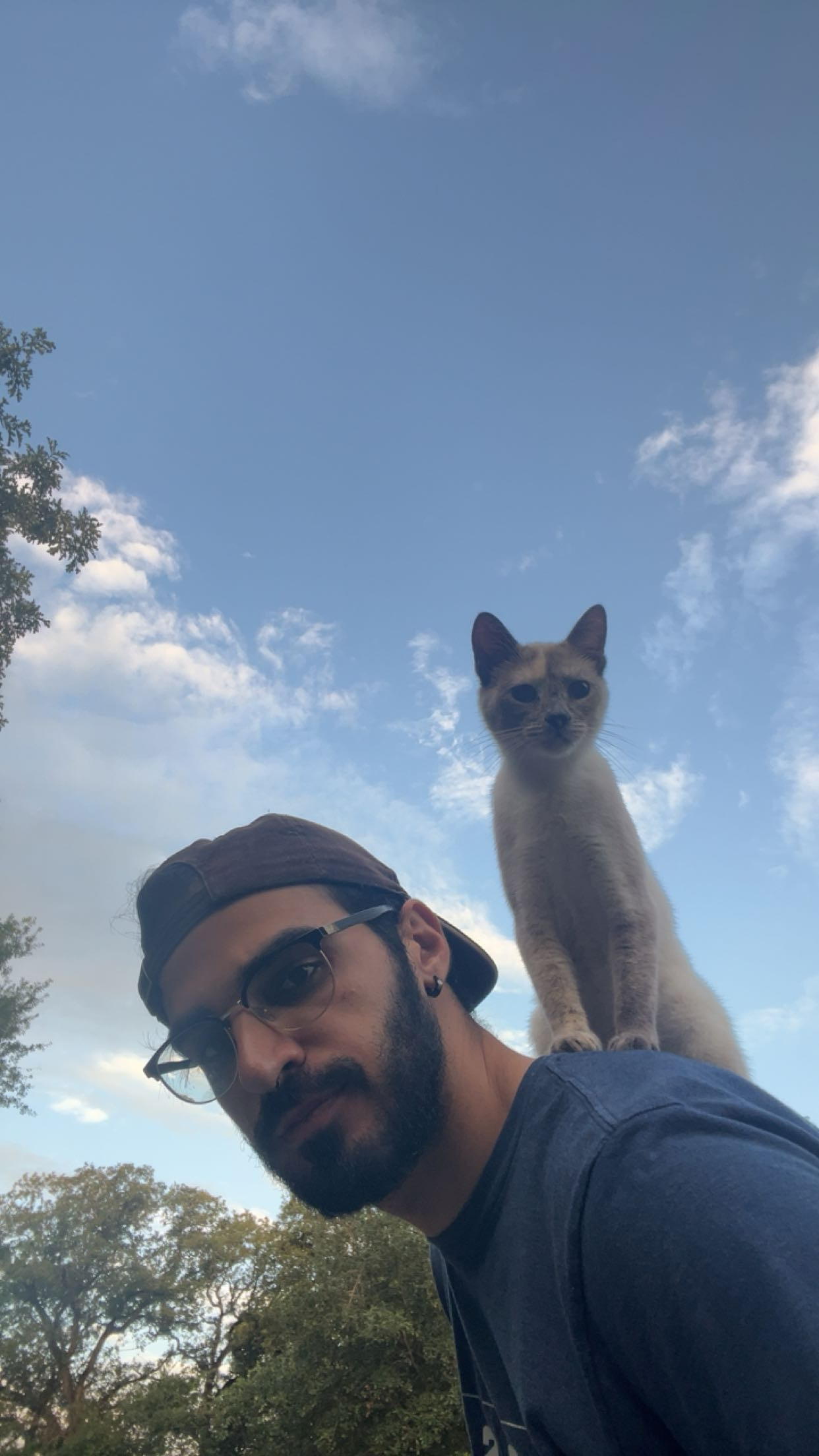 Remember the 3 C's: Computers, Cats, and Coffee.