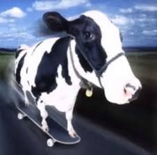 Cowpocalypse Devlog #3: The First Quest Is Complete!